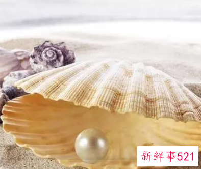 梦见捡珍珠有什么征兆