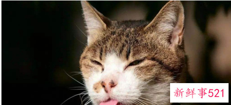 解决心情烦躁的方法