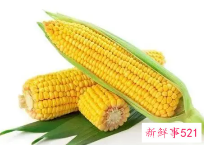 玉米都有哪些营养价值