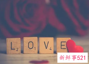 表达自己的爱情观的句子