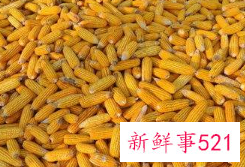 弱视吃什么对眼睛好