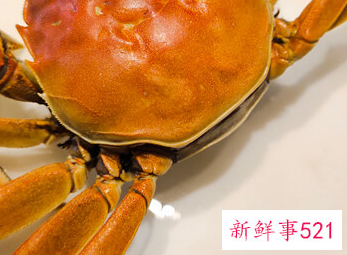 清蒸螃蟹的做法步骤
