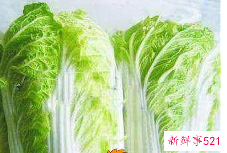 大白菜的营养价值及功效