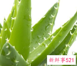 脸经常长痘痘怎么调理