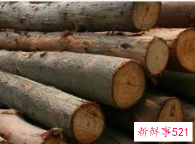 梦见木头木材有什么征兆