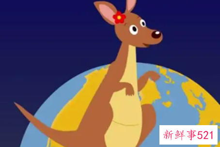 梦见袋鼠是什么意思呢