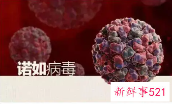 这种食物别生吃，韩国已超200人中招