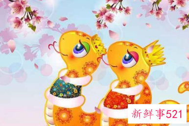 属猴女与属蛇男