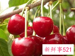 女人吃什么水果抗衰老