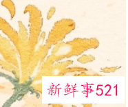 每种花的花语含义及图片