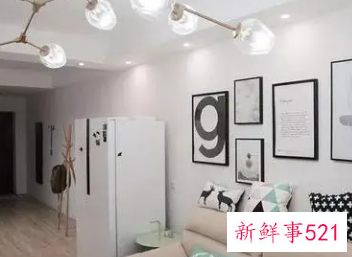 沙发和冰箱之间用什么隔断好呢