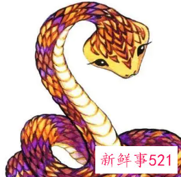 属蛇女人的致命的弱点