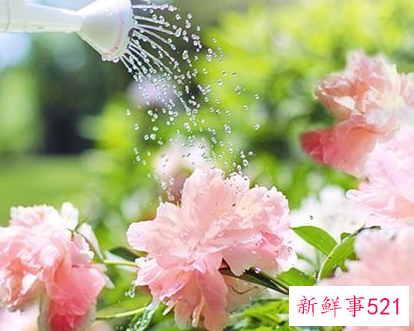 梦见花和水是什么意思