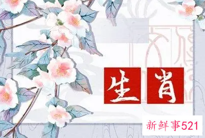 鸡跟羊属相合不合