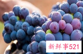 女人吃什么水果抗衰老