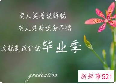 毕业煽情到哭的话语有