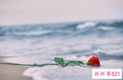 安静女生喜欢什么类型的男生