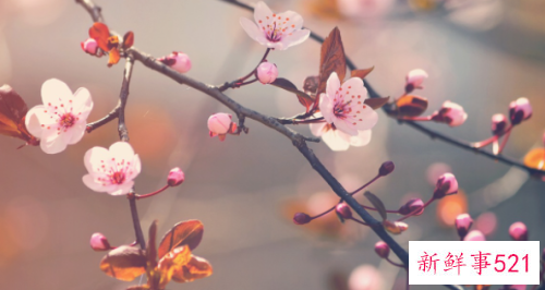 工作感想和心得体会