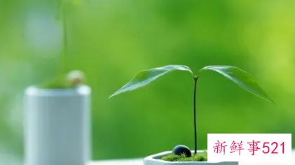 最in最时尚的女宝宝名字