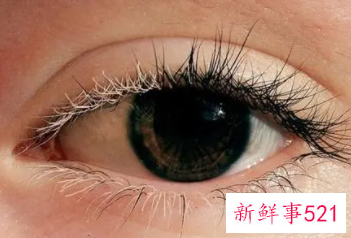 女人的眼相怎么看