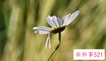 女人精神出轨的8大表现