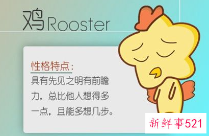 属兔和属鸡合不合