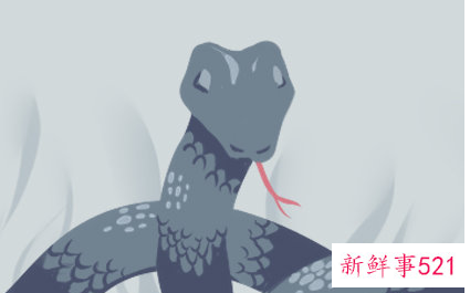 孕妇梦见蛇害怕是什么意思