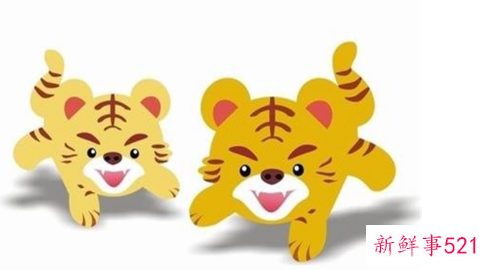 属虎人和其他十二生肖的关系