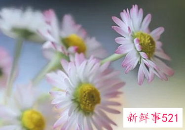 女人精神出轨的8大表现