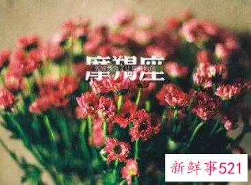 摩羯座感情语录