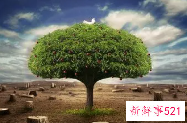 保护生态环境演讲稿简短