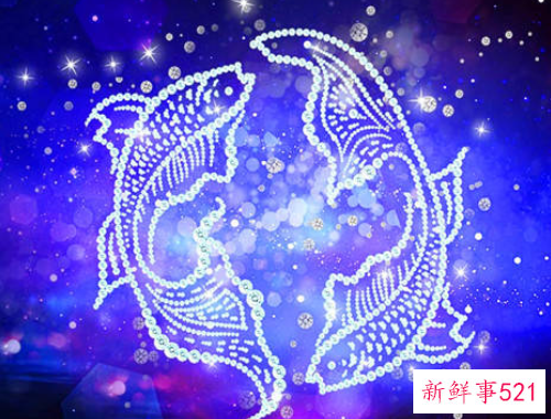 不敢跳槽会在一个公司做到头的星座