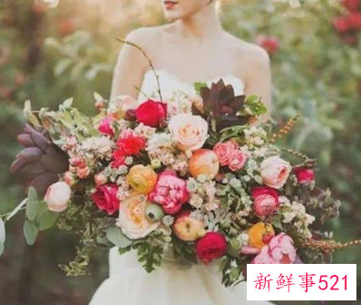 婚姻的本质是一场合作关系