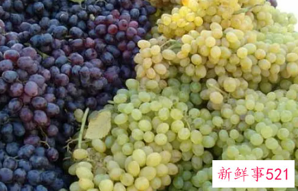 如何选购好的葡萄