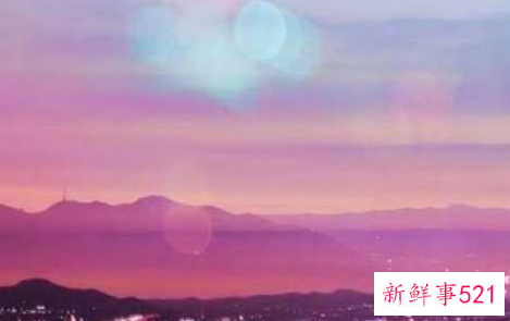 表白的句子简短有哪些