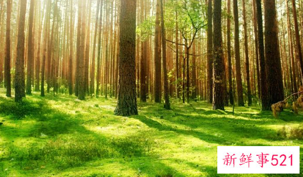 周公解梦之梦到大蛇