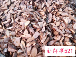 川桂枝的功效和作用