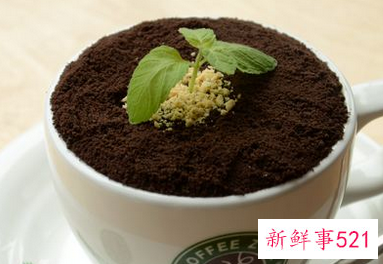 大学生创业好项目创意