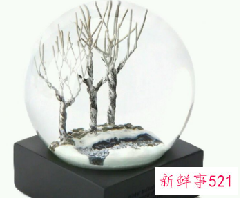 天蝎女喜欢什么礼物