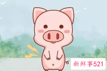 95年属猪幸运色是什么颜色