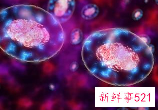 每天30分钟运动出汗的好处