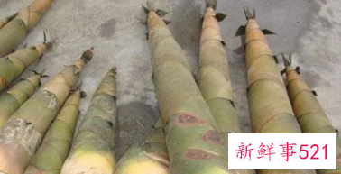 笋对女人的害处