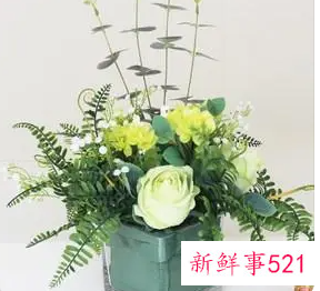 餐桌鲜花的摆放哪些好