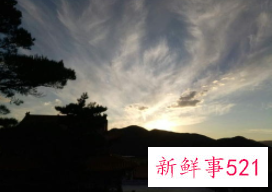 梦见交纳土地税什么寓意