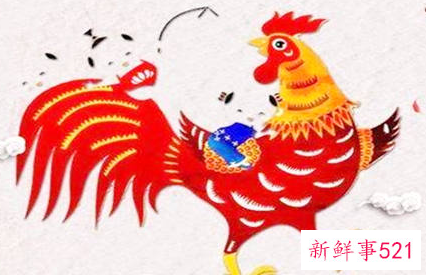 属鸡人一生的命运