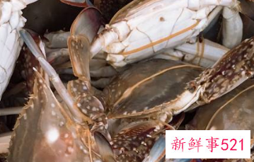 清蒸螃蟹的做法步骤