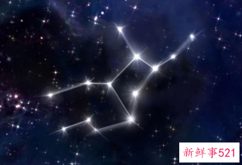 最难追不好骗的星座男