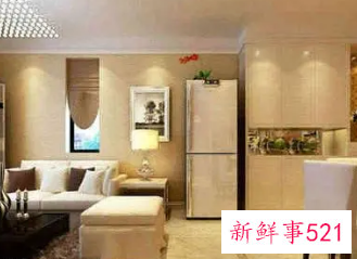 沙发和冰箱之间用什么隔断好呢