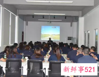 销售新人开会发言