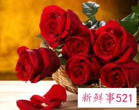 梦见一大束玫瑰花